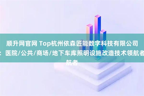 顺升网官网 Top杭州依森匠能数字科技有限公司：医院/公共/商场/地下车库照明设施改造技术领航者
