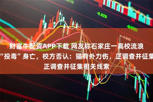 财富牛配资APP下载 网友称石家庄一高校流浪猫疑似遭“投毒”身亡，校方否认：猫有外力伤，正调查并征集相关线索