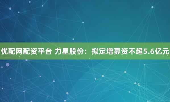 优配网配资平台 力星股份：拟定增募资不超5.6亿元